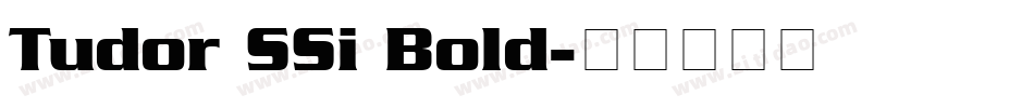 Tudor SSi Bold字体转换